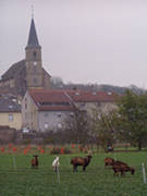 Photo de l'glise Saint-Martin